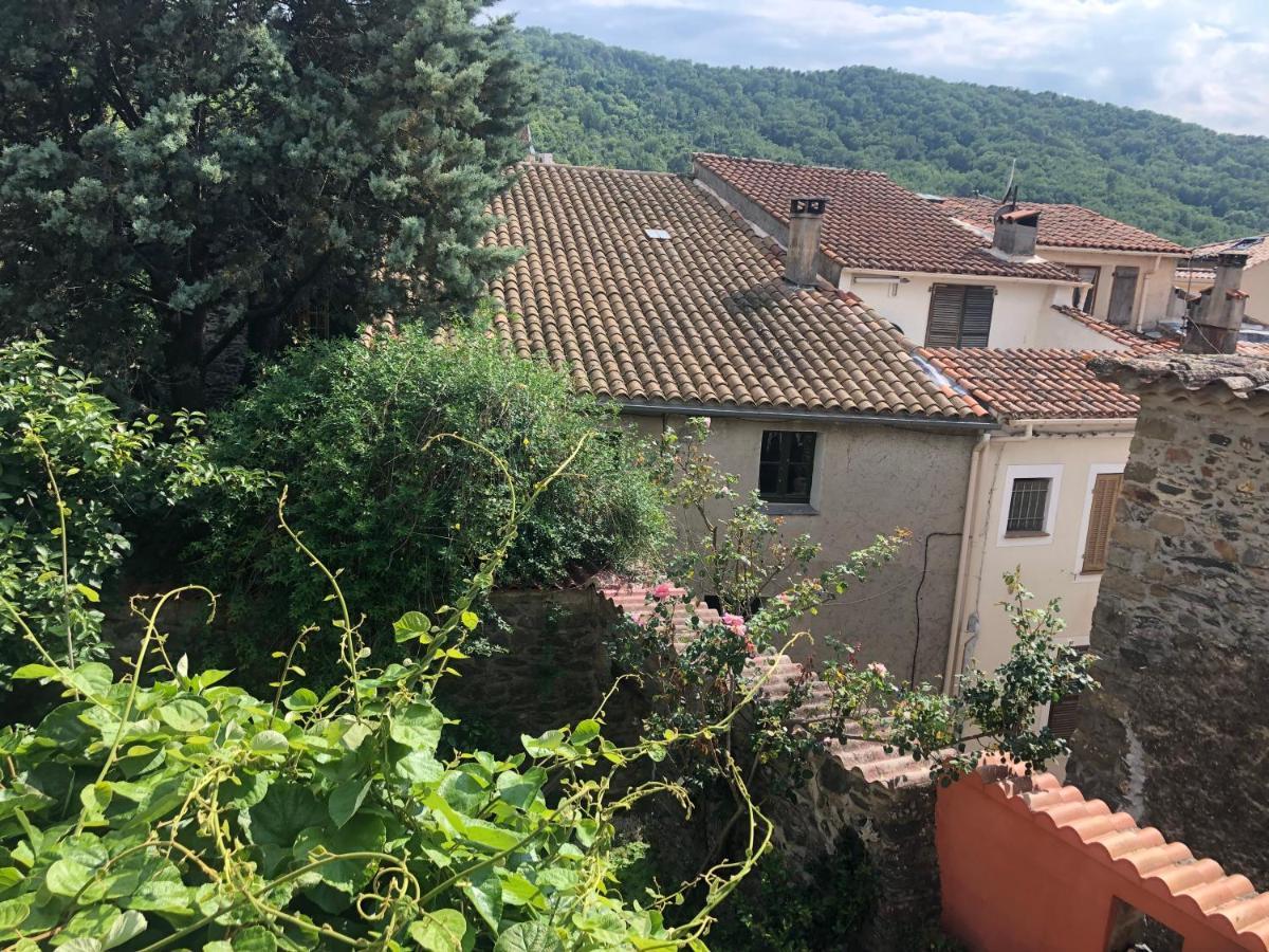 Ferienwohnung La Provence Authentique A 30 Minutes Des Plages Collobrières Exterior foto