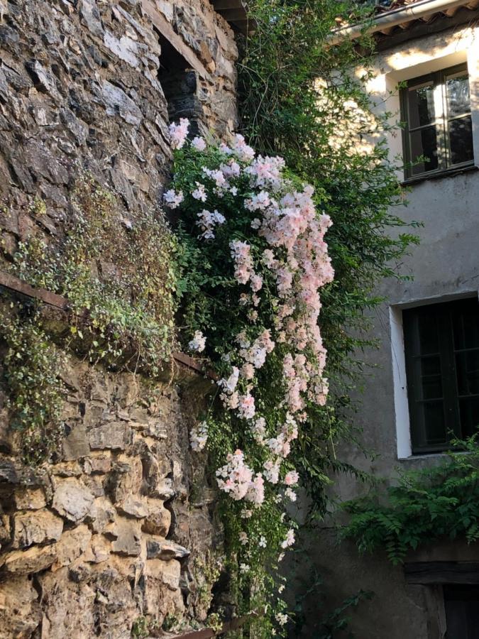 Ferienwohnung La Provence Authentique A 30 Minutes Des Plages Collobrières Exterior foto