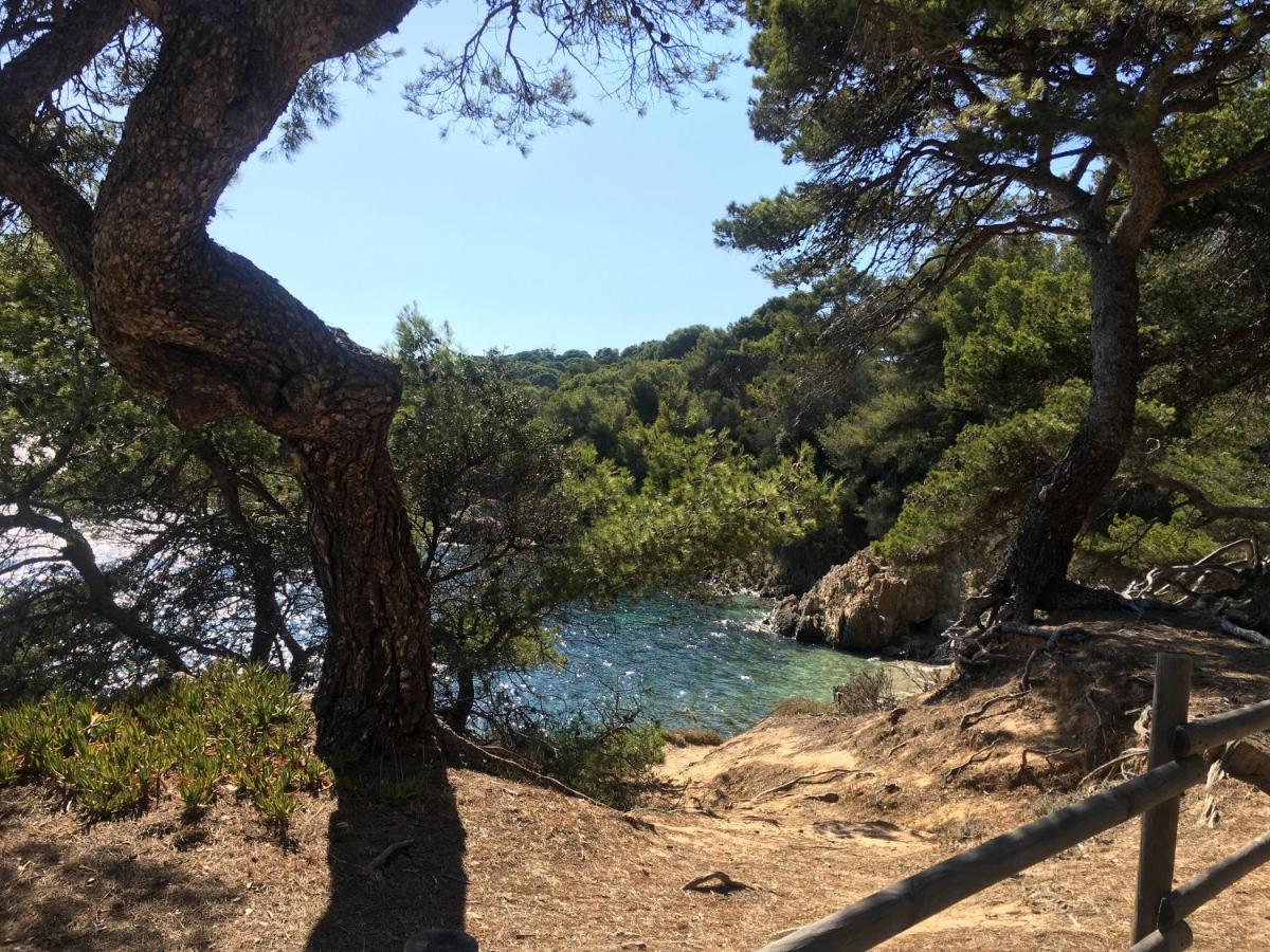 Ferienwohnung La Provence Authentique A 30 Minutes Des Plages Collobrières Exterior foto